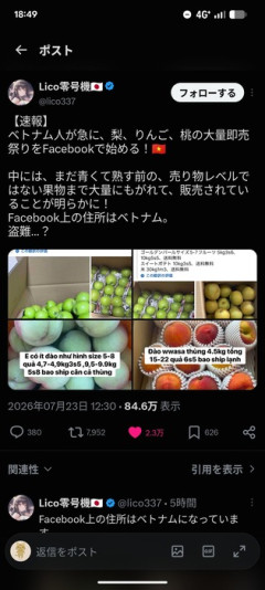 【悲報】ベトナム人さん、熟してない梨、りんご、桃の大量即売祭りをSNSで始めるw