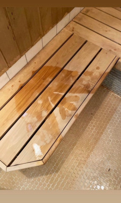 【悲報】ケルベロス、サウナに現れるｗｗｗｗ