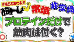運動してない奴がプロテイン摂ったらある程度筋肉付く？