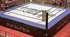 【悲報】プロレスを八百長って言うと怒るプロレスファンさんって何なん？ｗｗｗｗｗｗｗｗｗｗ