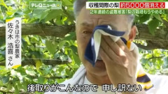 梨５０００個窃盗事件により怪しい露店売りを警察に通報するブーム　始まる