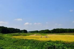 田舎のこういう国道沿い、便利だけどガチでつまらない件wwww