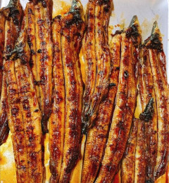 【悲報】バカ「天然ウナギ食って精を付けるぞ」←夏は脂無い、冬が脂乗って美味い