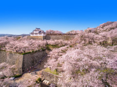 津山30人殺しって事件知ってるか？