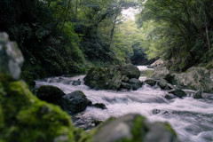 埼玉県「涼しさS」「住みやすさS」「人柄S」「物価S」←お前らが住まない理由ｗｗｗｗｗｗｗｗ