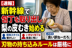 【速報】年配女性、新幹線で包丁を取り出し梨の皮むき始める ネット「昭和スタイル懐かしい」「怖い」 JR東海「良い訳ねーだろ」