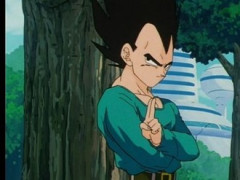 ベジータ何で人気なんだよ…