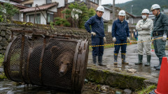 【炎上】わなにかかったクマを“溺死”させ駆除　SNS拡散で発覚、雫石町に非難殺到
