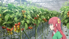 とある農家「育ててたアスパラガスが全滅した。誰かに除草剤まかれたっぽい」と通報 → 2ヶ月後、最悪の犯人が捕まる・・・