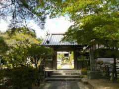 【衝撃】大河ドラマでまさかの『秀吉と光秀の直接対談』が実現！要潤光秀の最期が切なすぎると話題に・・