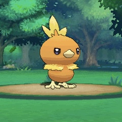【ポケモン】いいかいじゅくがえりさん 炎タイプをな御三家は炎タイプをいつでも選びなよ
