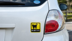 【ペット・自動車】家に猫が居ますってステッカーは何のつもりなの？