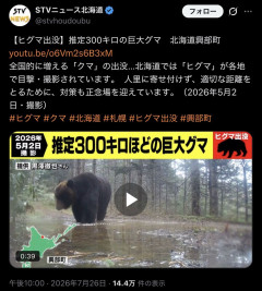 【画像】北海道、推定300kgの巨大ヒグマ登場ｗｗ