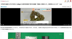 【宮城】中学3年15歳の少年、自宅に1,263gの大麻所持容疑で逮捕