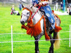 【画像】戦国時代の『馬』、想像と全然違うｗｗｗｗｗ