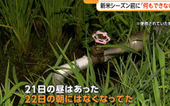 【水が出ない】“蛇口”の盗難、コメ農家苦悩　茨城県内水田で被害相次ぐ　稲穂出始め「死活問題」（動画あり）