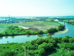 【衝撃】東京・青梅の河川敷、ガチで『恐ろしい状態』になってしまう！！！！！！