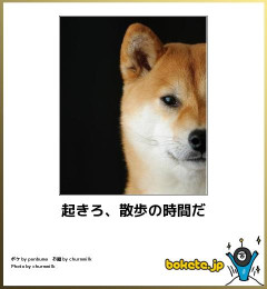 【腹筋崩壊】お前らが死ぬほど笑った画像を貼っていけｗｗｗｗｗ