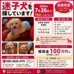 【朗報】めちゃくちゃ割の良い光バイト見つかる