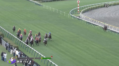 【土曜新潟11R】ノリさんの千直とか記憶にねえな
