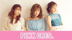 【悲報】『しくじり先生』MC陣、PINK CRES.を「合法の店？」とイジり「不快すぎる」の声