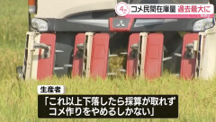 【悲報】コメ民間在庫量が過去最大に…価格下落の流れさらに加速か。専門家「すでに非常事態。国が積極的に介入するべき」