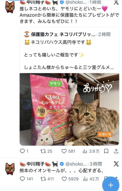 中川翔子さん「熊本のイオンモールが、、、心配すぎる」→「推し猫に送ったちゅ～る届いたー🩷�」