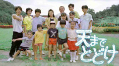 再放送してほしい昼ドラ