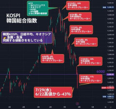 【悲報】韓国兄さん、今年9回目のサーキットブレーカー発動