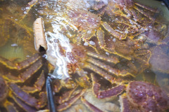 【友達やめ】「女性限定で食事会をしよう」とAが提案し、地元で人気の海鮮料理店に全員が賛成。でも当日、料理を前にBが涙を流し始めた。泣く理由を聞いてみると…
