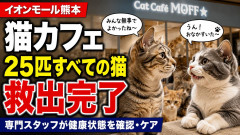 【イオンモール熊本】猫カフェ、取り残されていた25匹すべての猫を救出を発表「専門スタッフにより一頭一頭の健康状態の確認およびケア」