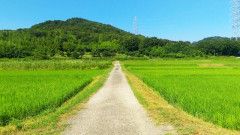 【悲報】X「都心に住んでたくせに子供できたら田舎に引っ越す奴は毒親」→9万いいね