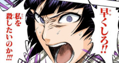 【BLEACH】砕蜂「私を殺したいのか‼」