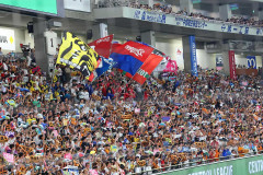 【衝撃】プロ野球オールスター第1戦、関東7.0％に対し札幌14.7％ｗｗｗｗｗｗｗｗｗｗ
