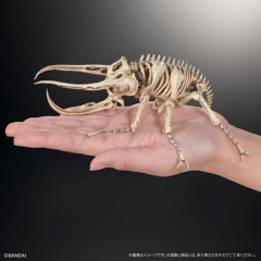 【画像】カブトムシの骨ｗｗｗｗｗｗｗｗｗｗｗｗｗｗｗｗｗ