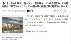 【朗報】爆発したイオンモール熊本の猫カフェ、取り残されていた25匹すべての猫を救出