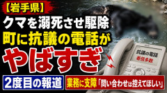 【岩手県】クマを溺死させ駆除、町に抗議の電話がやばすぎ2度目の報道、業務に支障「問い合わせは控えてほしい」