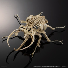 【画像】カブトムシの骨ｗｗｗｗｗｗｗｗｗｗｗｗｗｗｗｗｗｗｗｗｗｗｗｗｗｗｗｗ