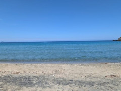 海来たよ