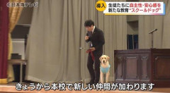 【朗報】スクールドッグを導入した学校、不登校が激減しJKさん「犬のために学校行きたくなる」ｗｗｗｗｗｗｗｗｗｗ