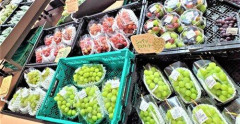 【悲報】ぶどう「なんでみんなボクを食べなくなったの？」