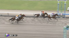 【土曜新潟2R新馬戦】ミカミッチー＆横山典弘騎手がｷﾀ━━━━(ﾟ∀ﾟ)━━━━!!