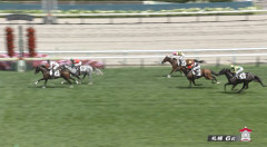 【日曜札幌6R】丹内騎手が騎乗停止に
