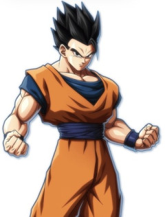 悟飯ちゃんって武道あまり好きじゃない？
