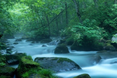 青森「人間性S」「雪S」「食べ物S」「文化S」「物価S」←お前らが住まない理由ってなんなの？ｗｗｗｗｗｗ