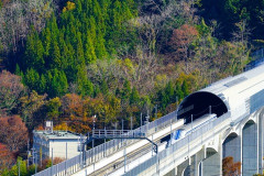 「なぜヌートリアは岡山県に多い？」広い干拓地、ため池、水田、温暖な気候…かつては「毛皮」として利用するため飼育場も