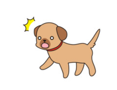 【悲報】イッヌさん、用水路を流れてしまう……