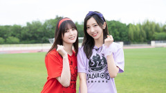 【日向坂46】3週ぶち抜き濃厚でおひさま大歓喜！！