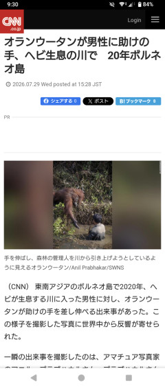 【画像】オランウータン、人間を助けるｗｗｗ