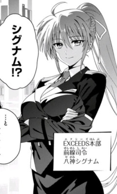「リリカルなのは EXCEEDS」のシグナムｗｗｗ